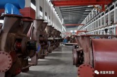 开云官方站网站登录入口-开云(中国)被评为2019年度三水区骨干企业